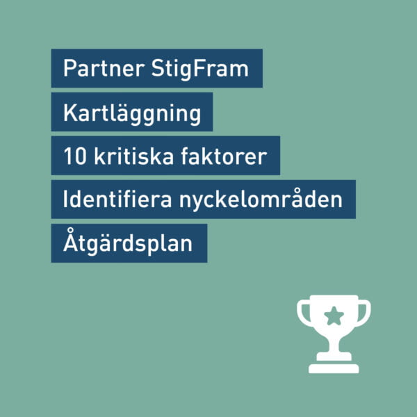 Huvudverket framgångsanalys coachning företag åtgärdsplan inom ekonomi, finans, bank, besöksnäring, kommunikation & interim